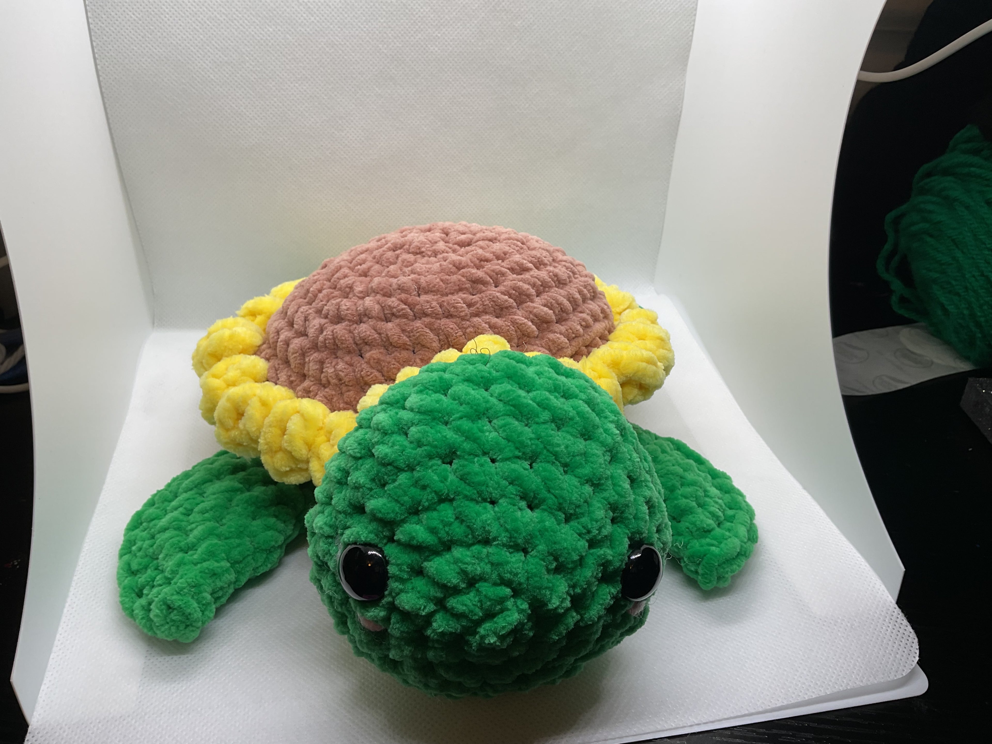 Sunflower turtle